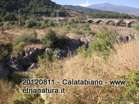 San_Nicola_Castiglione - 12-08-2012 07-50-53.JPG